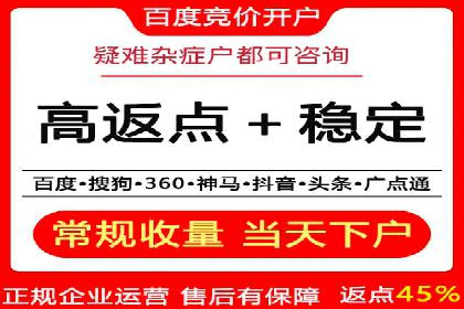 某企业通过SEM实现品牌与销售双增长的案例